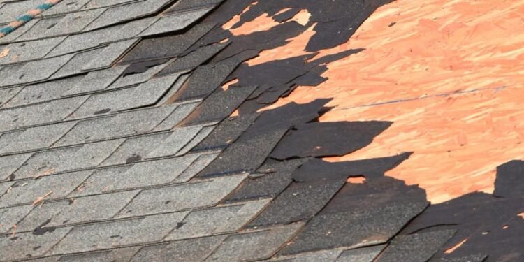 Roof Repairs vs. Replacement
