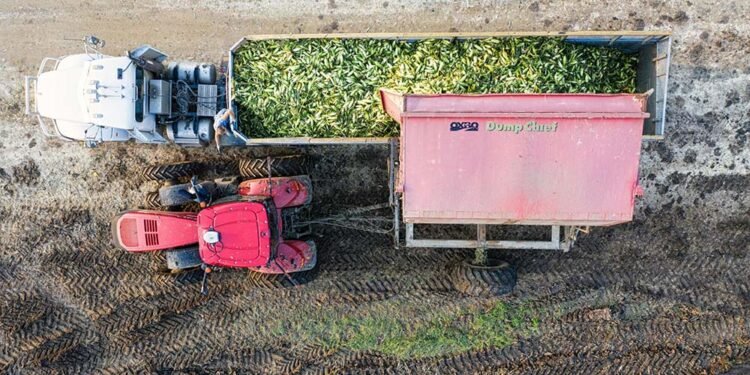 The Benefits of Using Dump Trailers for Construction Projects