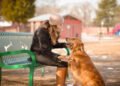 Discovering the Perks of Community Dog Parks for Dogs and Owners