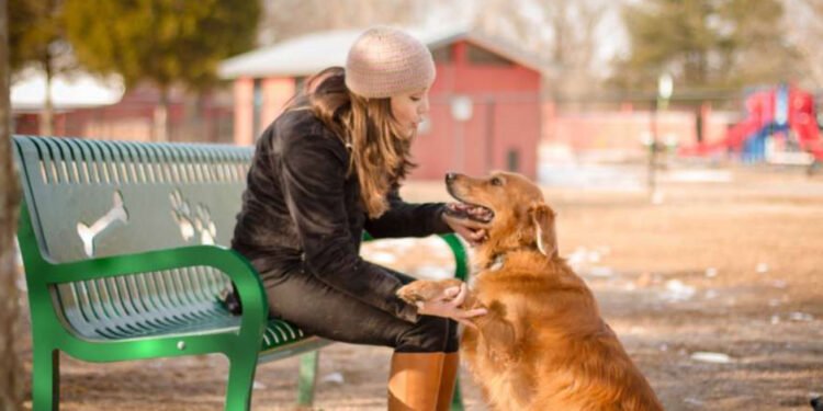 Discovering the Perks of Community Dog Parks for Dogs and Owners