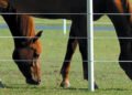 How High-Tensile Wire Improves Farm Security