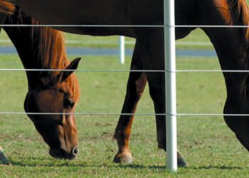 How High-Tensile Wire Improves Farm Security