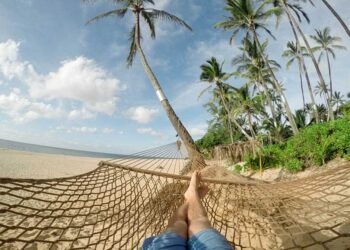 How To Choose A Durable Wooden Hammock Stand For Your Backyard