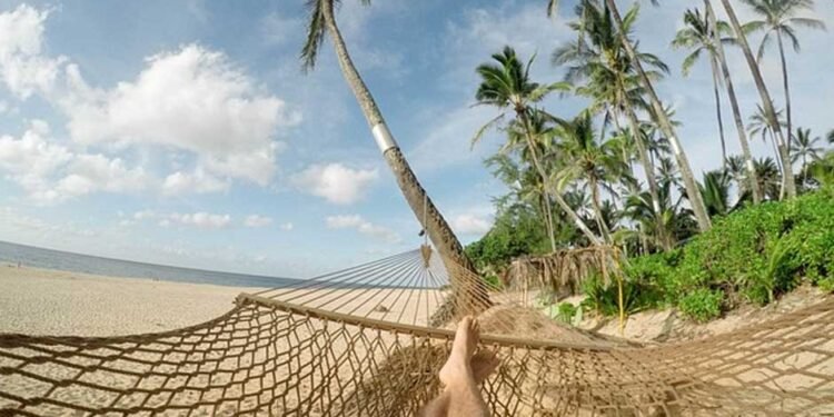 How To Choose A Durable Wooden Hammock Stand For Your Backyard