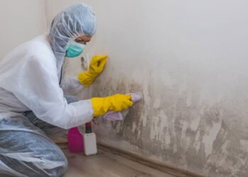 Is Mold Removal Affordable in Orlando?