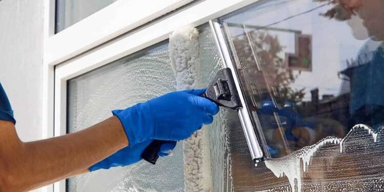 Why-Professional-Window-Cleaning-Services-Are-Worth-the-Investment