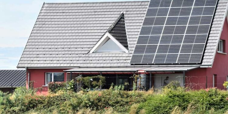 Eco-Friendly-Living-Simple-Ways-to-Reduce-Your-Carbon-Footprint