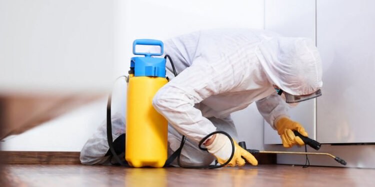 Effective Pest Control Solutions for a Safer Home