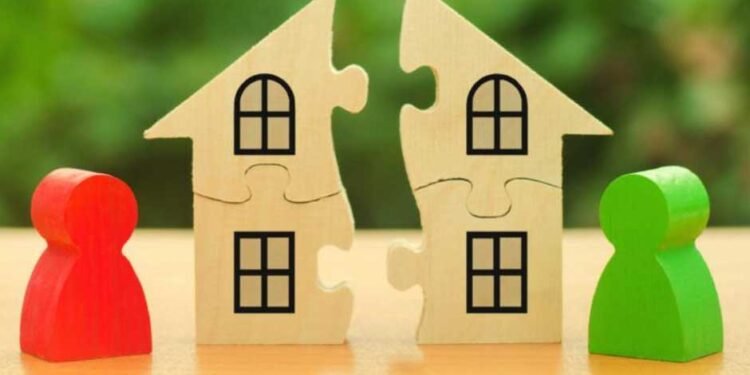 Exploring-Partition-Lawsuits-Key-Legal-Concepts-and-Terminology