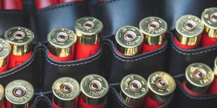 Simplifying Ammo Storage: Tips for Easy Organization