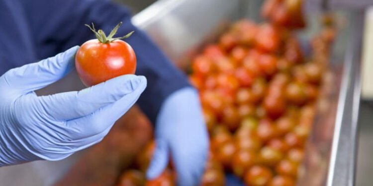 Why Transparency in the Food Supply Chain Is Essential