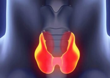 The Connection Between Thyroid Hormone Therapy and Mental Health