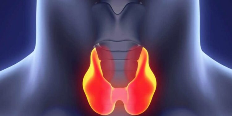 The Connection Between Thyroid Hormone Therapy and Mental Health