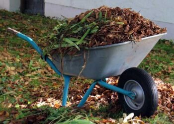 Why Skips for Green Waste Is a Bright Idea for Your Garden