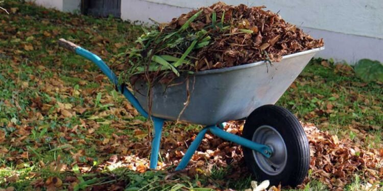 Why Skips for Green Waste Is a Bright Idea for Your Garden
