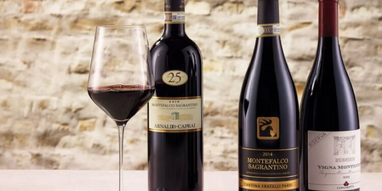 Explore the World of Red Wine: From Light & Fruity to Bold & Complex