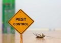 From Infestation to Prevention