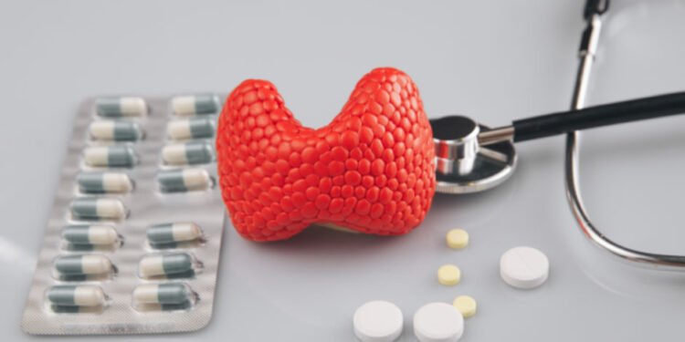 Is Thyroid Hormone Therapy Safe? What You Need to Know Before Starting