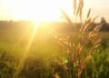 How to Reimagine Recovery: A New Path Toward Wholeness