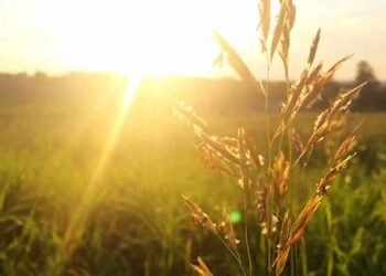 How to Reimagine Recovery: A New Path Toward Wholeness