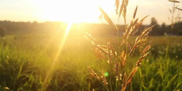 How to Reimagine Recovery: A New Path Toward Wholeness