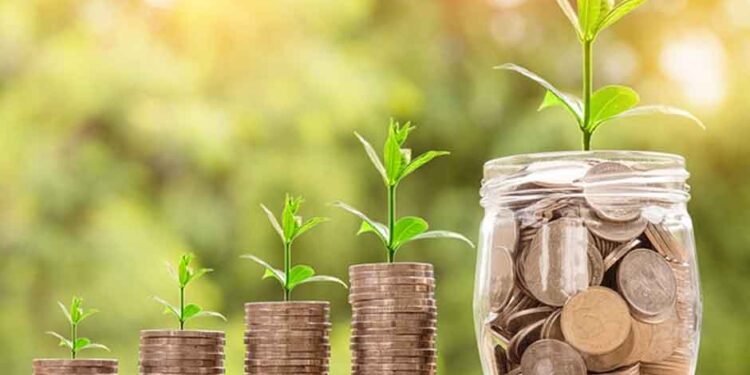 How to Compare Term Insurance Plans: Key Factors to Consider Before You Buy