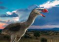 The Reign of Terror Birds: Apex Predators of Ancient South America