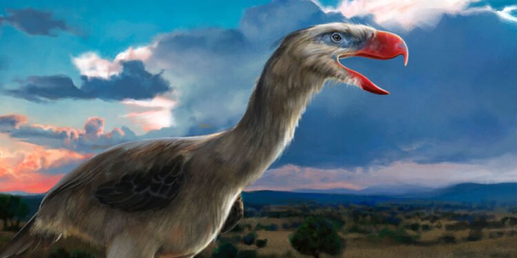 The Reign of Terror Birds: Apex Predators of Ancient South America
