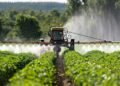 The Role of Betametacron in Modern Agriculture: A Targeted Herbicide Solution