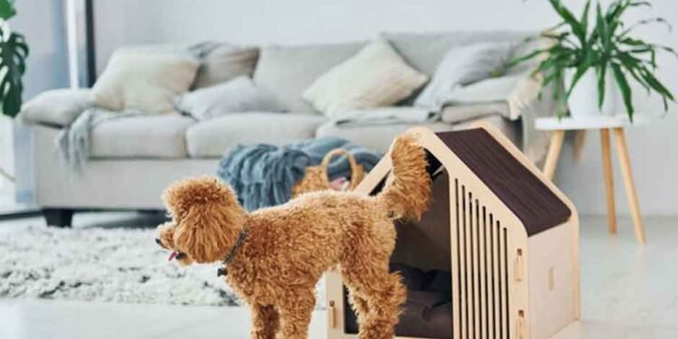 What Pet Owners Should Know About Modern Feeding Habits