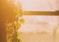 What You Need to Know About Creating Safer, Brighter Spaces for the Next Generation
