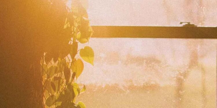 What You Need to Know About Creating Safer, Brighter Spaces for the Next Generation