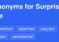 Beyond the Expected: Exploring the Rich Tapestry of Surprise Synonyms