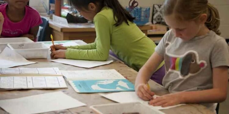 Building Your Child's Educational Journey: A Comprehensive Guide to Singapore's Diverse Learning Landscape