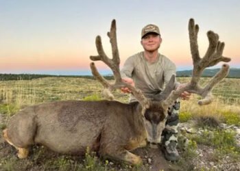 Unforgettable Deer Hunting Trips with Professional Guides