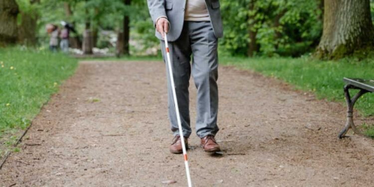 3 Great Accessories That You Could Give As a Present to Someone Who Uses a Walking Stick