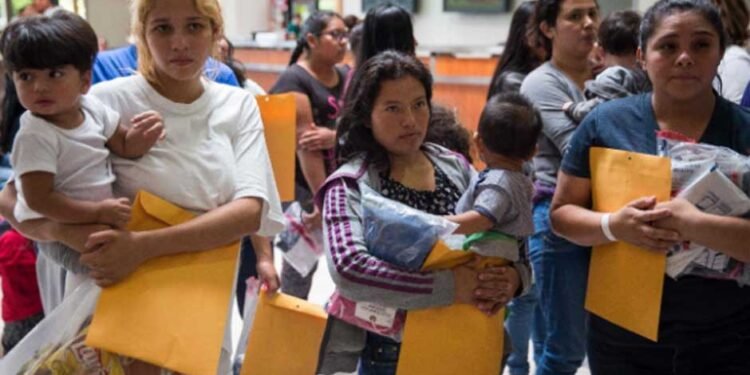 Legal & Humanitarian Access in Texas: A Guide for Immigrant Families Seeking Representation
