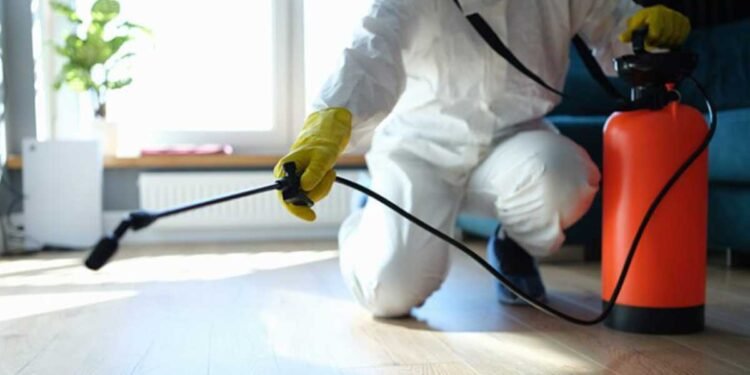 5 great reasons for homeowners to use a professional team to deal with pest control