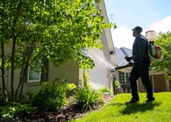 Pest Control in Gold River, CA