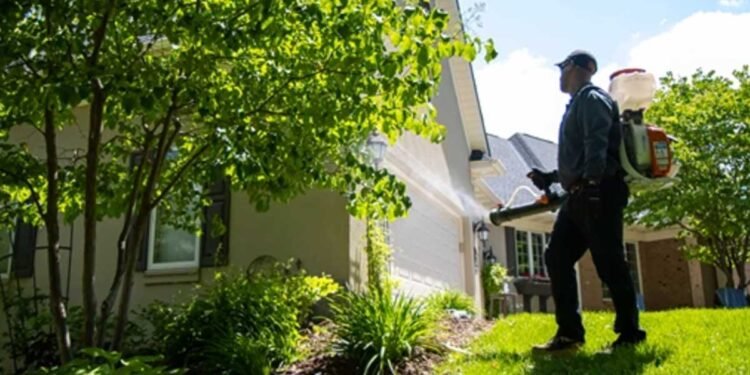 Pest Control in Gold River, CA