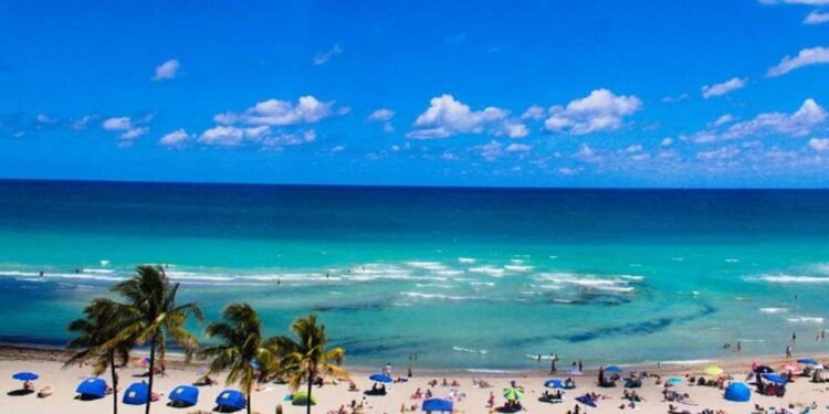 When Is the Best Time to Travel to Miami for Beaches and Festivals