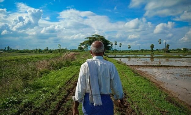 beginner-farm-owners-protecting-harvests-from-unce-1