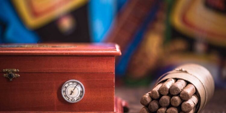 A Practical Guide to Choosing the Right Cigar Humidor