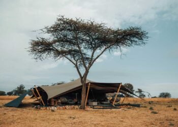 The Gold Standard: Ranking The Last Frontier’s Most Luxurious Wilderness Escapes