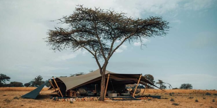 The Gold Standard: Ranking The Last Frontier’s Most Luxurious Wilderness Escapes