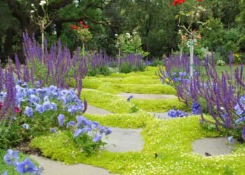 Creating a Garden With Personality and Charm