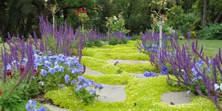 Creating a Garden With Personality and Charm