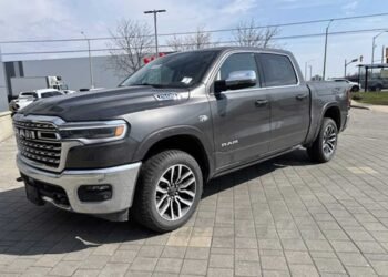 Best Trims for Work Trucks vs Weekend Haulers