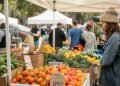 The Rise of Local Produce and Sustainable Food Markets: A Closer Look at Modern Trends