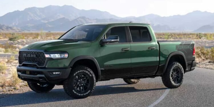 Why Fat Trucks Are So Popular in 2026